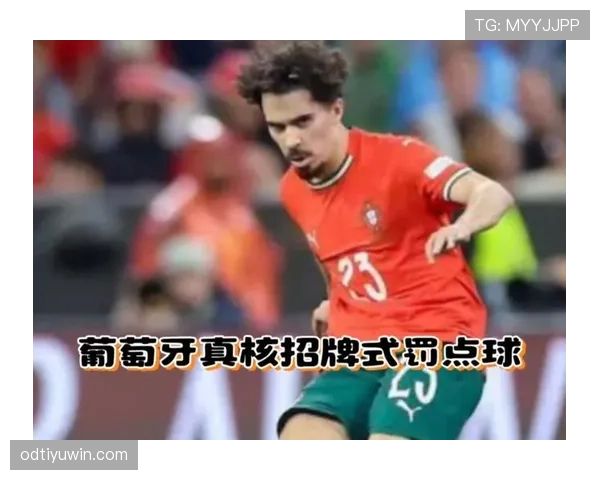 维蒂尼亚在葡萄牙国家队的战术角色与作用解析